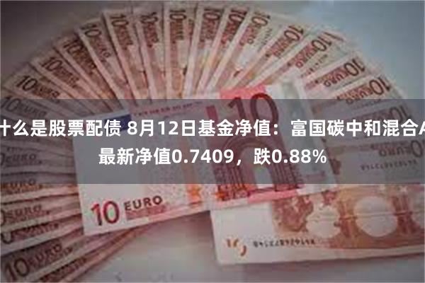 什么是股票配债 8月12日基金净值：富国碳中和混合A最新净值0.7409，跌0.88%