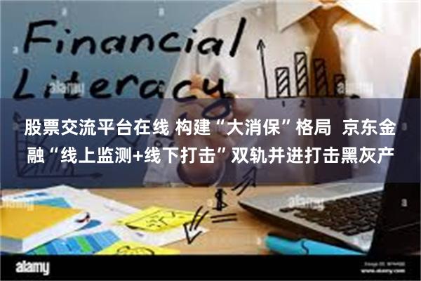 股票交流平台在线 构建“大消保”格局  京东金融“线上监测+线下打击”双轨并进打击黑灰产
