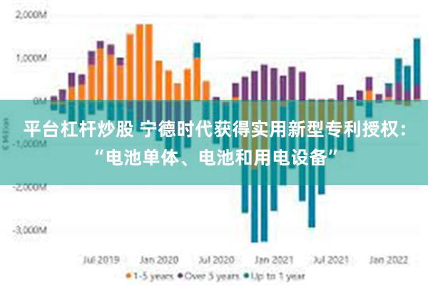 平台杠杆炒股 宁德时代获得实用新型专利授权：“电池单体、电池和用电设备”