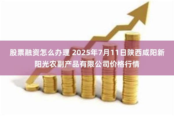 股票融资怎么办理 2025年7月11日陕西咸阳新阳光农副产品有限公司价格行情