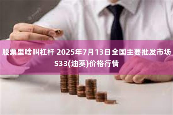 股票里啥叫杠杆 2025年7月13日全国主要批发市场S33(油葵)价格行情