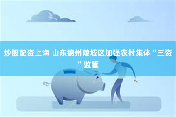 炒股配资上海 山东德州陵城区加强农村集体“三资”监管