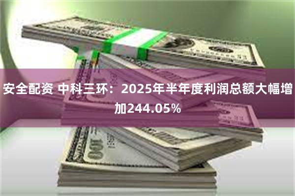 安全配资 中科三环：2025年半年度利润总额大幅增加244.05%