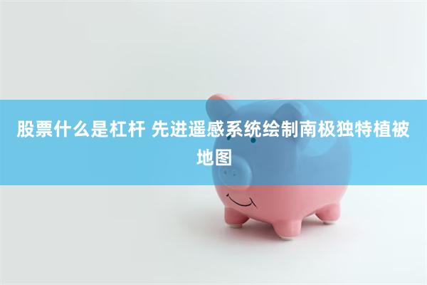 股票什么是杠杆 先进遥感系统绘制南极独特植被地图