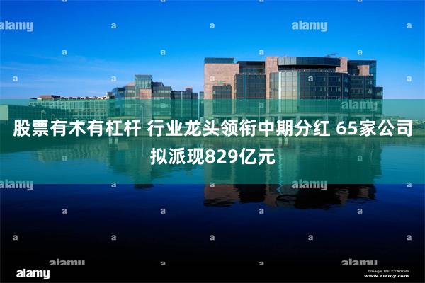 股票有木有杠杆 行业龙头领衔中期分红 65家公司拟派现829亿元